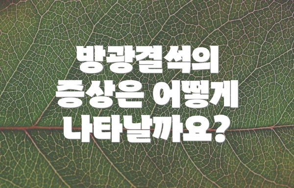 방광결석의 증상은 어떻게 나타날까요?