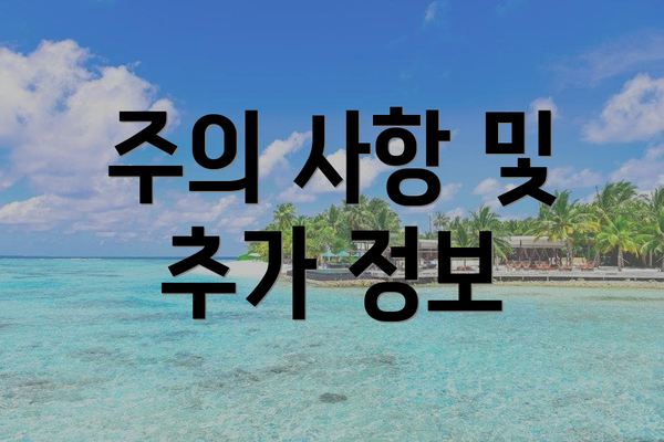 주의 사항 및 추가 정보