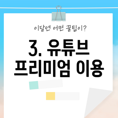 3. 유튜브 프리미엄 이용