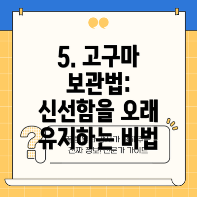 5. 고구마 보관법: 신선함을 오래 유지하는 비법