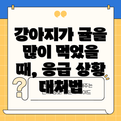 강아지가 귤을 많이 먹었을 때, 응급 상황 대처법