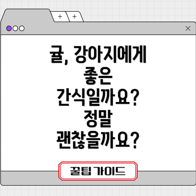 귤, 강아지에게 좋은 간식일까요? 정말 괜찮을까요?