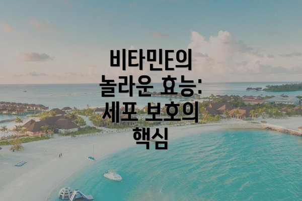 비타민E의 놀라운 효능: 세포 보호의 핵심