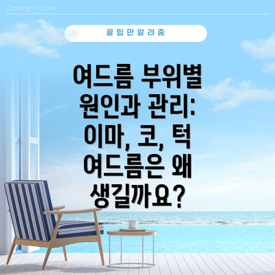 여드름 부위별 원인과 관리: 이마, 코, 턱 여드름은 왜 생길까요?