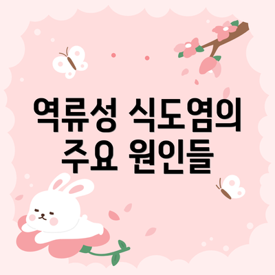 역류성 식도염의 주요 원인들