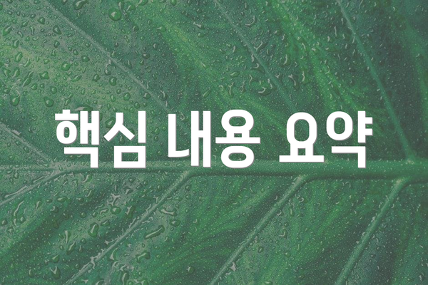 핵심 내용 요약