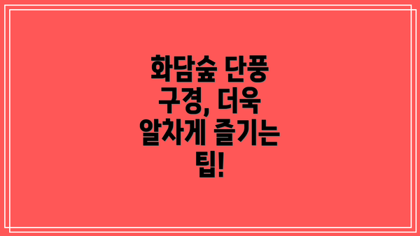 화담숲 단풍 구경, 더욱 알차게 즐기는 팁!
