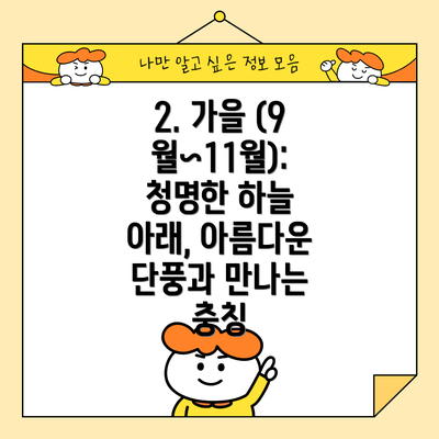 2. 가을 (9월~11월): 청명한 하늘 아래, 아름다운 단풍과 만나는 충칭