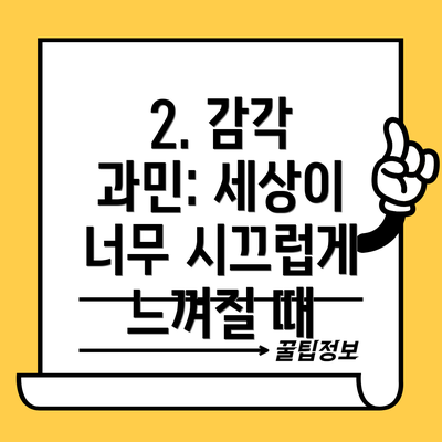 2. 감각 과민: 세상이 너무 시끄럽게 느껴질 때