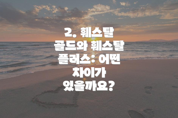 2. 훼스탈 골드와 훼스탈 플러스: 어떤 차이가 있을까요?