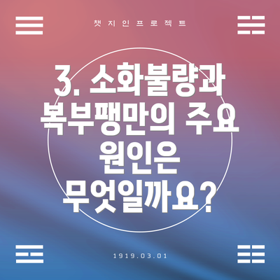 3. 소화불량과 복부팽만의 주요 원인은 무엇일까요?