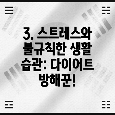 3. 스트레스와 불규칙한 생활 습관: 다이어트 방해꾼!