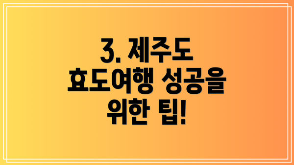 3. 제주도 효도여행 성공을 위한 팁!