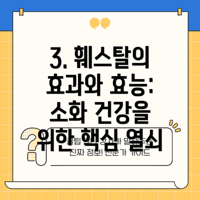 3. 훼스탈의 효과와 효능: 소화 건강을 위한 핵심 열쇠