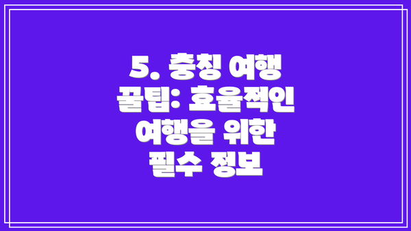 5. 충칭 여행 꿀팁: 효율적인 여행을 위한 필수 정보