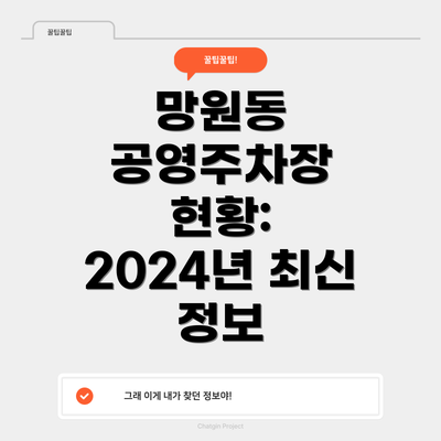 망원동 공영주차장 현황: 2024년 최신 정보