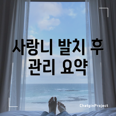 사랑니 발치 후 관리 요약