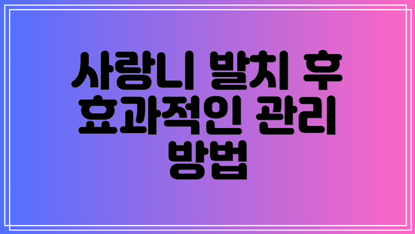 사랑니 발치 후 효과적인 관리 방법