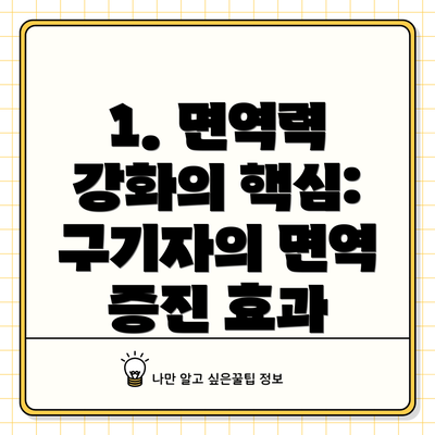 1. 면역력 강화의 핵심: 구기자의 면역 증진 효과