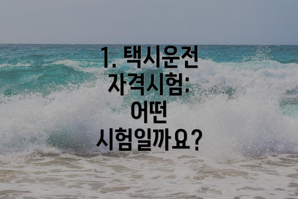 1. 택시운전 자격시험: 어떤 시험일까요?