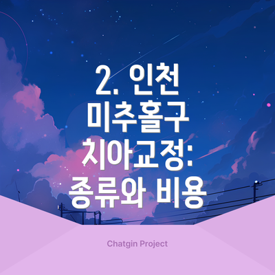 2. 인천 미추홀구 치아교정: 종류와 비용