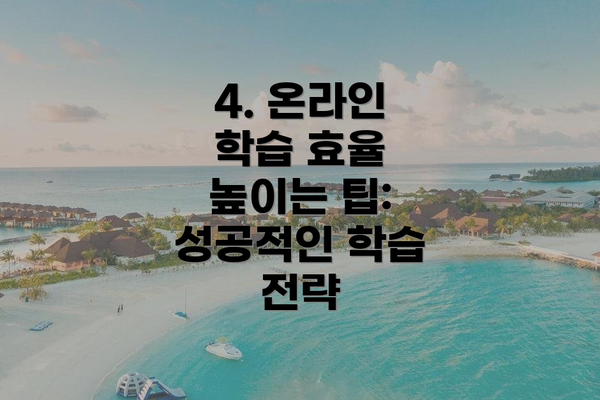 4. 온라인 학습 효율 높이는 팁: 성공적인 학습 전략