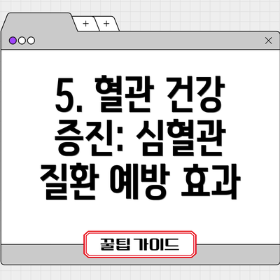 5. 혈관 건강 증진: 심혈관 질환 예방 효과