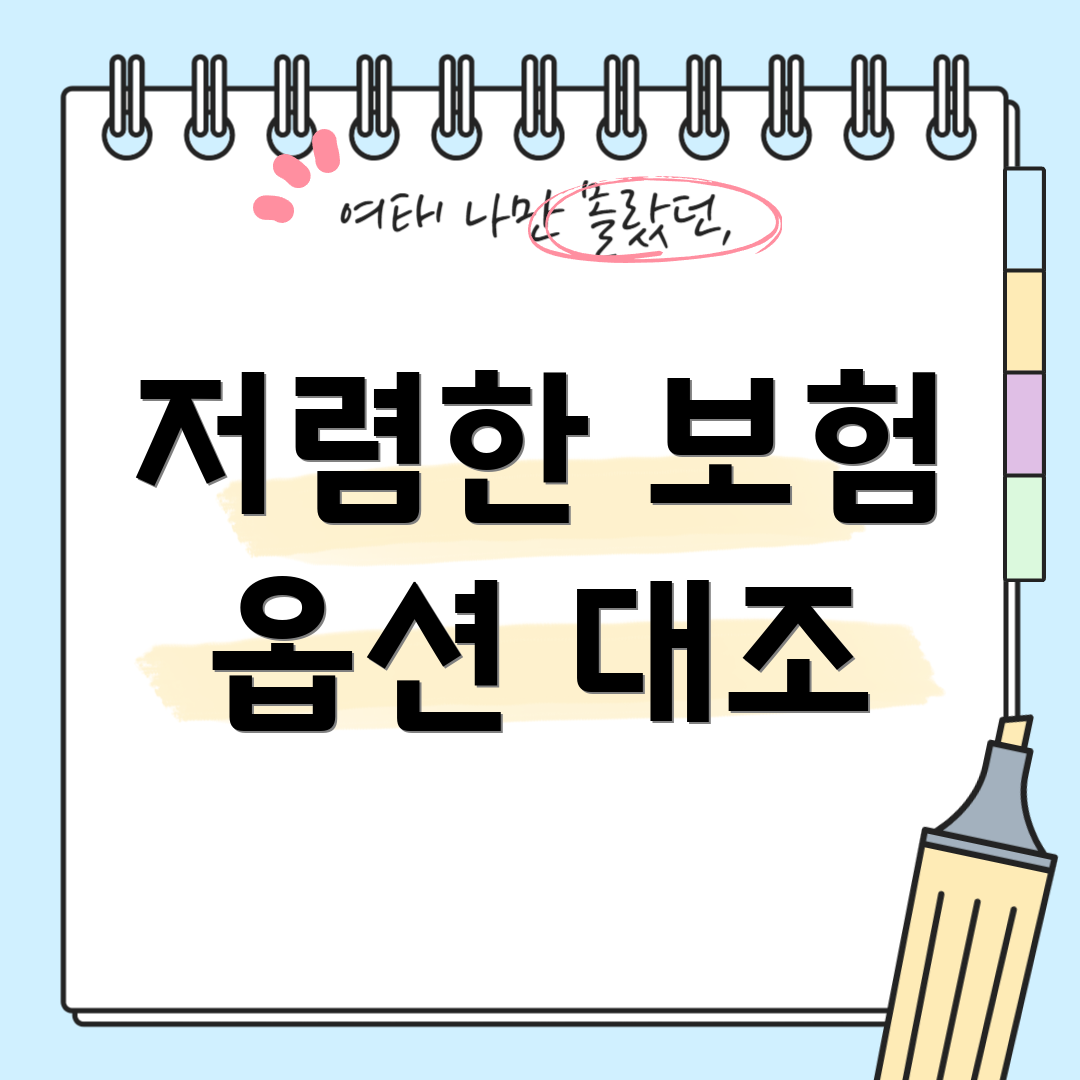 저렴한 보험 옵션 대조