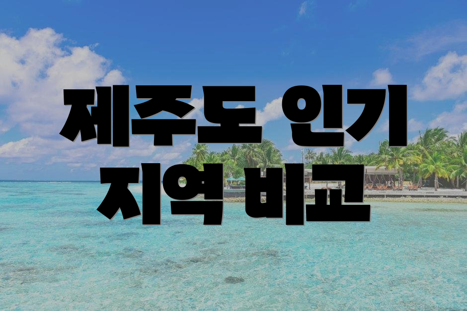 제주도 인기 지역 비교