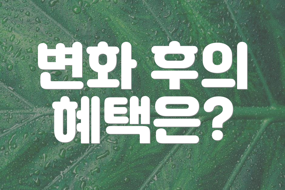 변화 후의 혜택은?