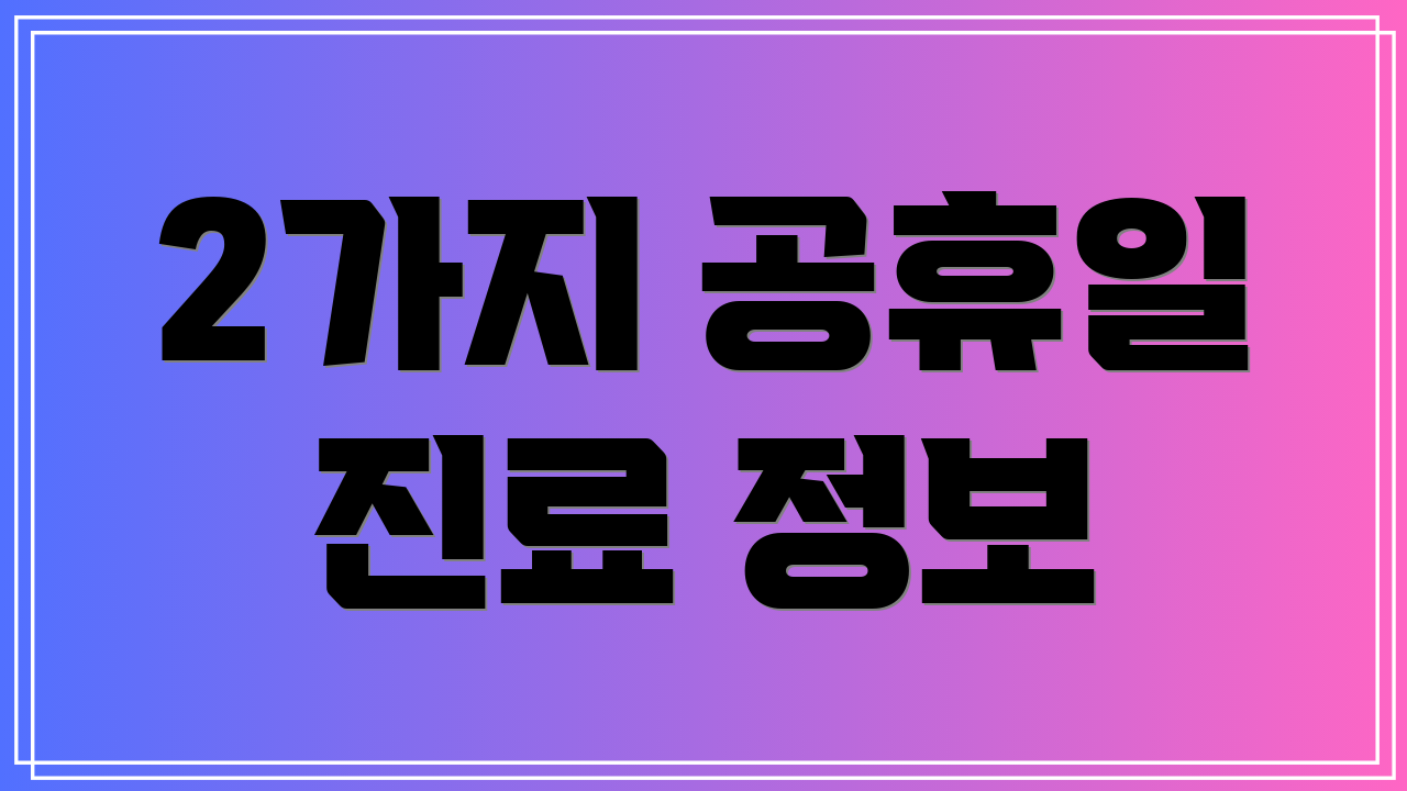 2가지 공휴일 진료 정보
