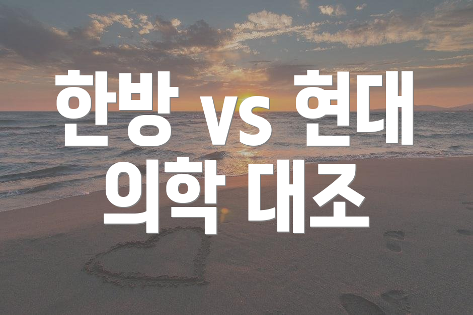 한방 vs 현대 의학 대조