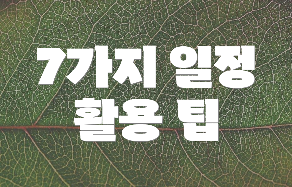 7가지 일정 활용 팁