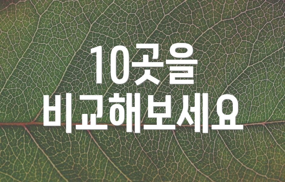 10곳을 비교해보세요