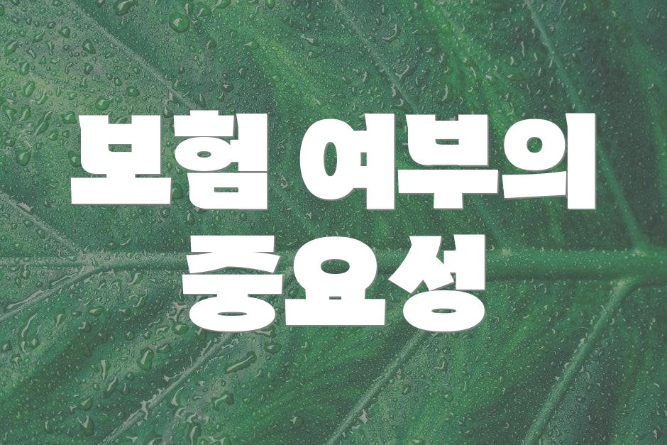 보험 여부의 중요성
