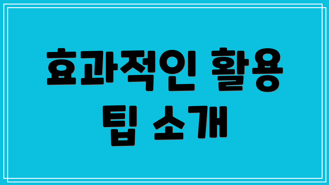 효과적인 활용 팁 소개