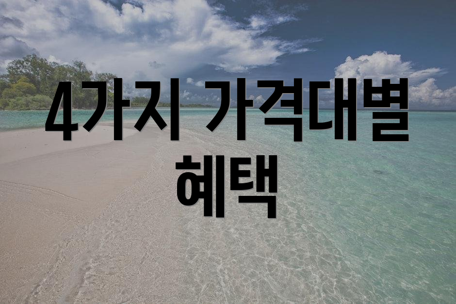 4가지 가격대별 혜택