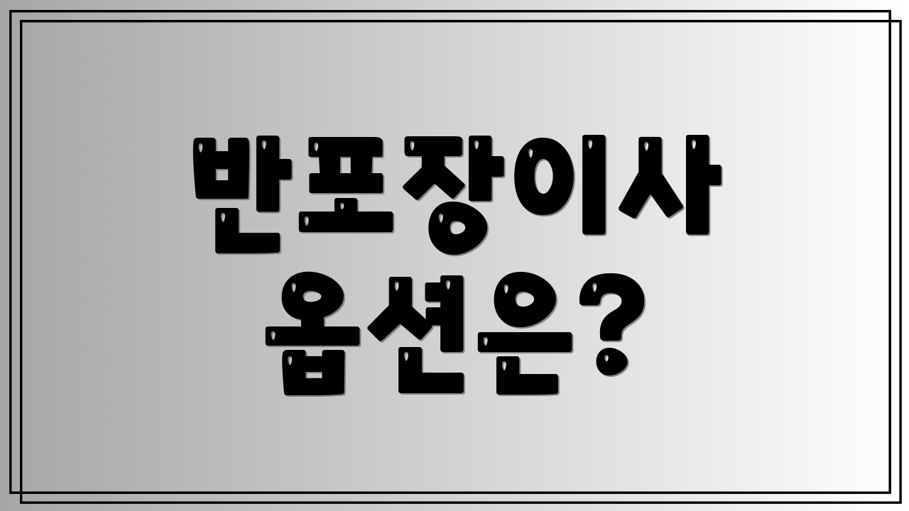 반포장이사 옵션은?