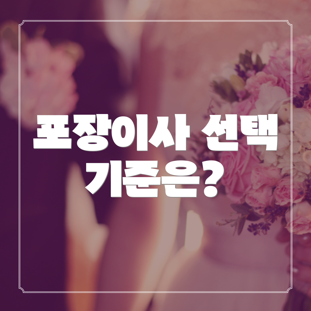 포장이사 선택 기준은?