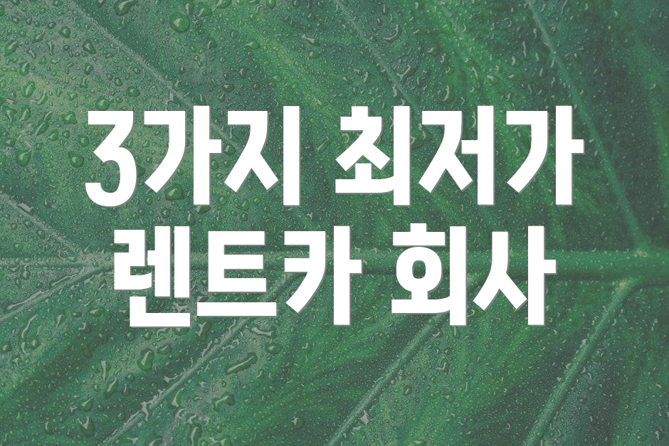 3가지 최저가 렌트카 회사