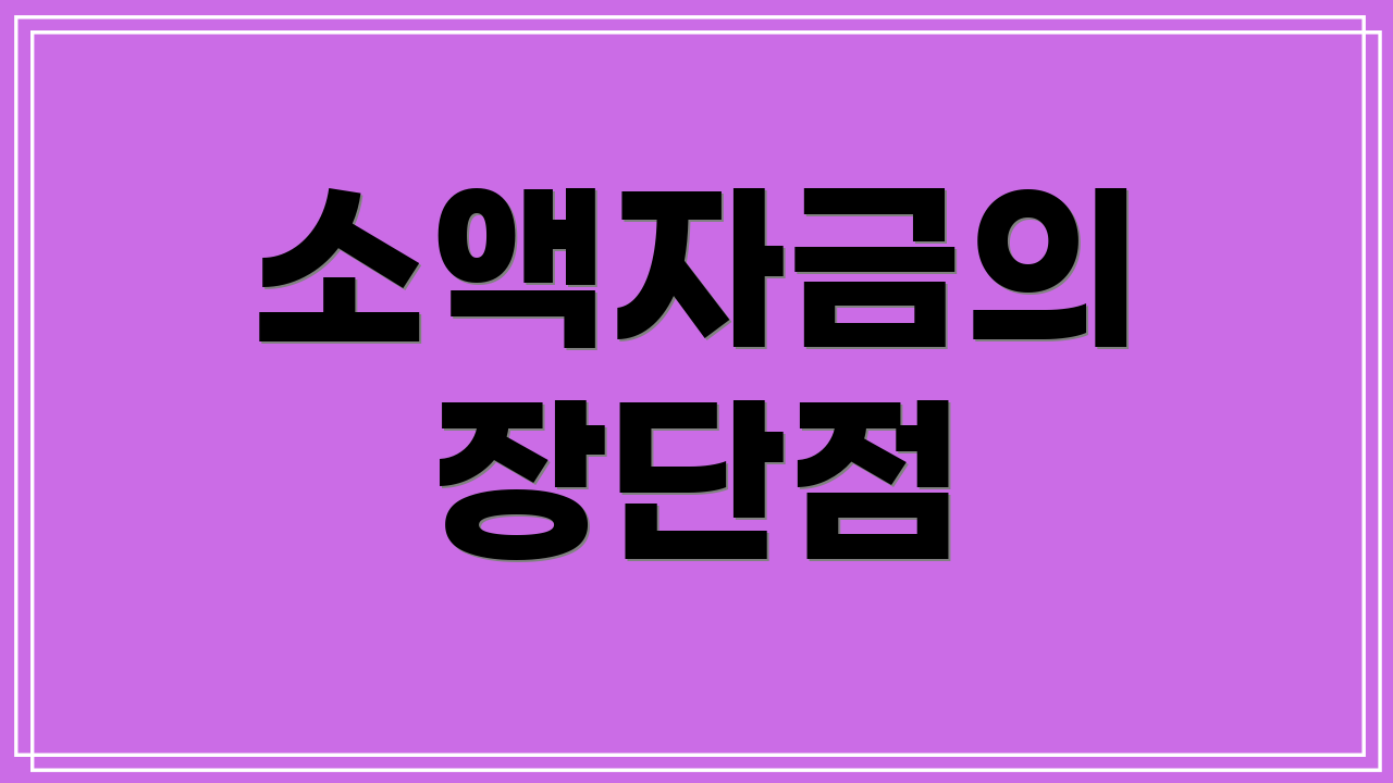 소액자금의 장단점