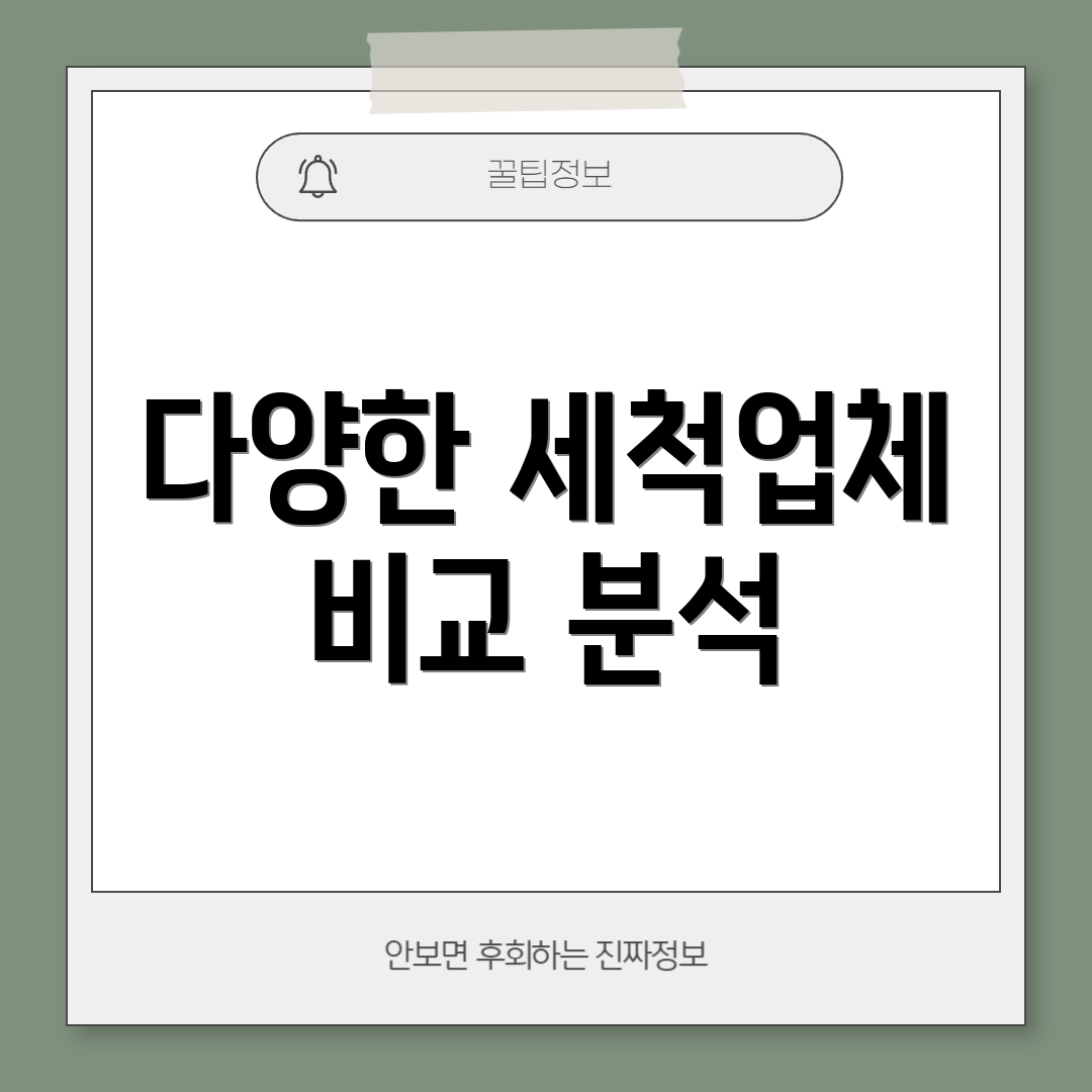 다양한 세척업체 비교 분석