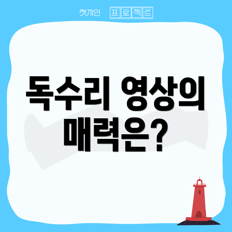 독수리 영상의 매력은?