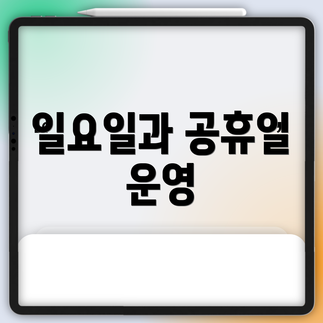 일요일과 공휴일 운영