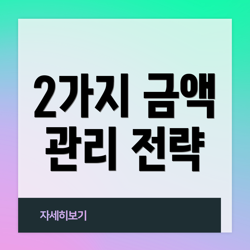 2가지 금액 관리 전략