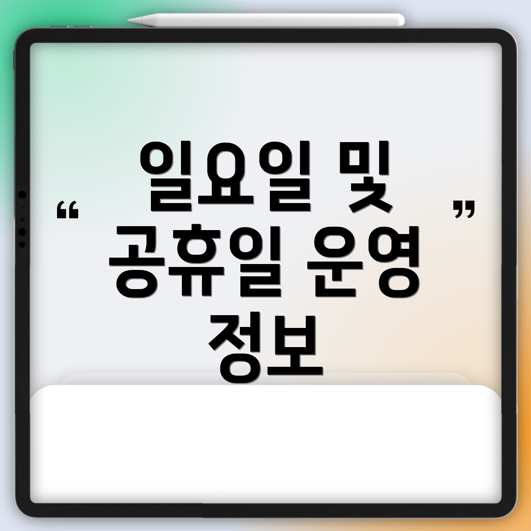 일요일 및 공휴일 운영 정보