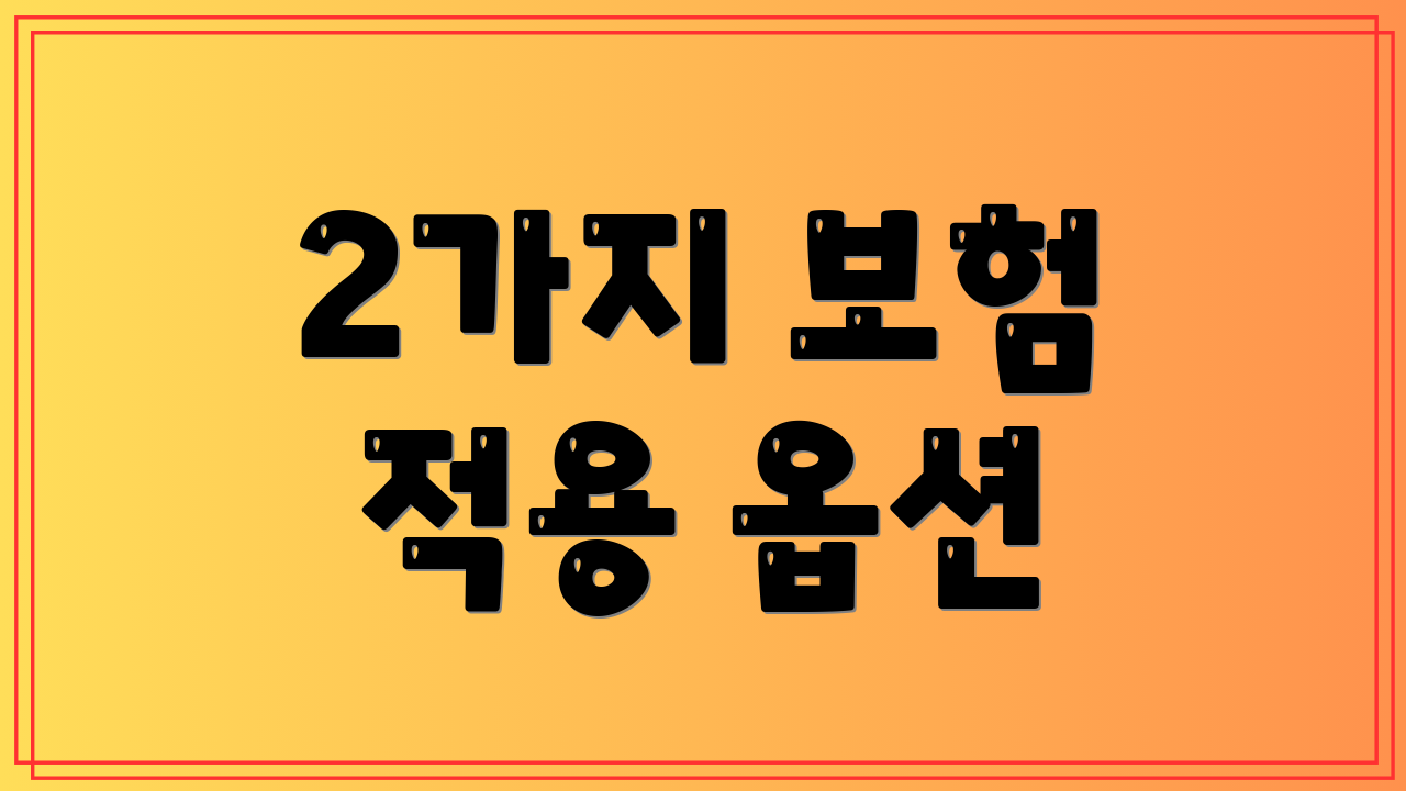 2가지 보험 적용 옵션