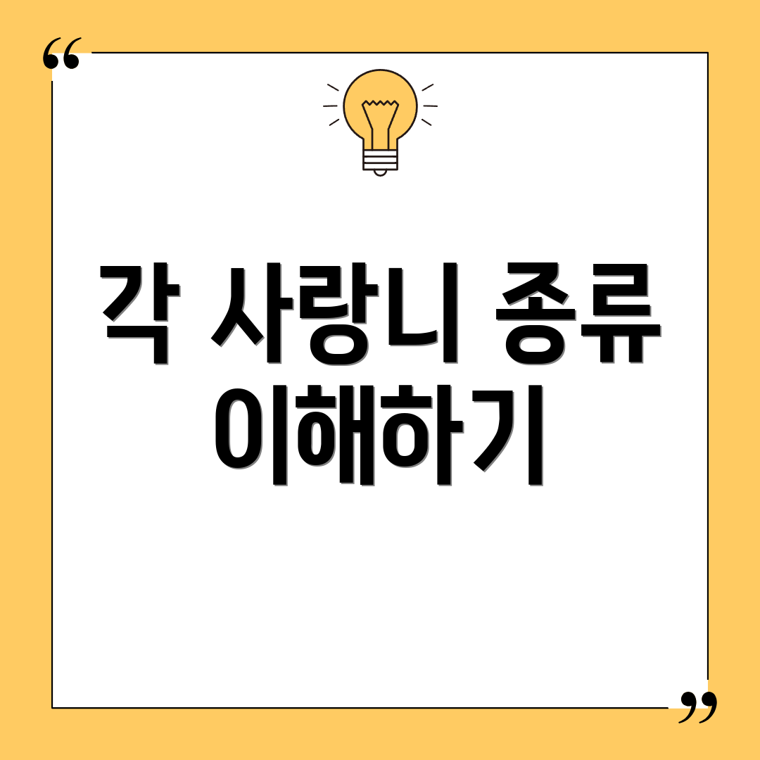 각 사랑니 종류 이해하기