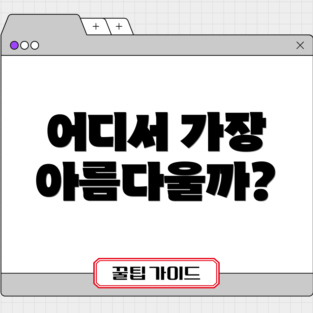 어디서 가장 아름다울까?