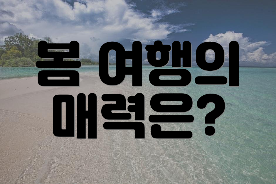 봄 여행의 매력은?